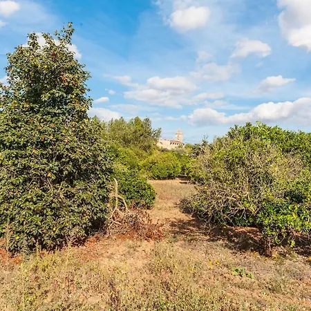 Villa Ses Covetes